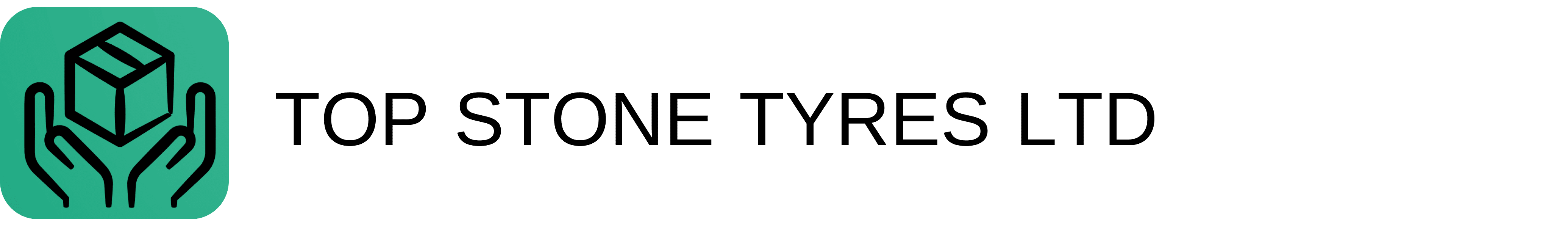Website Logo